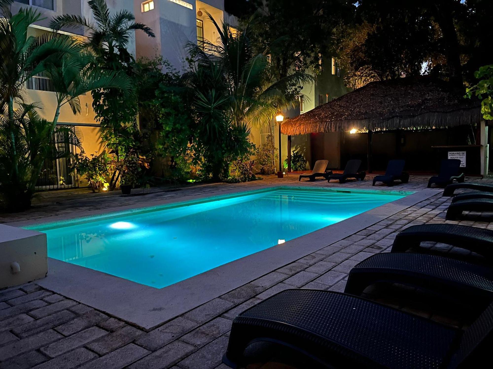 Appartement Beautiful, Comfortable And Great Location *